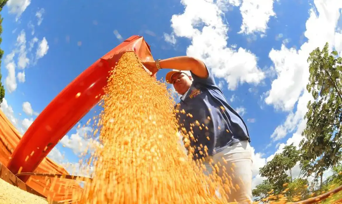 Safra deve alcançar novo recorde de grãos em 2025/26, projeta Conab