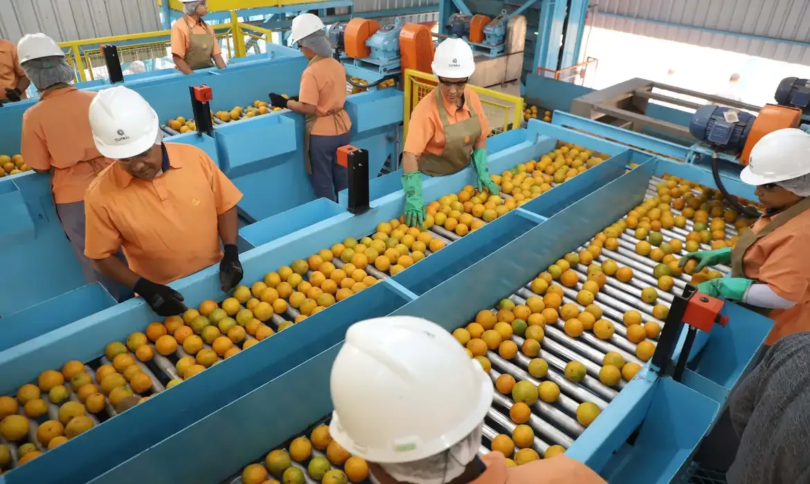 Tarifaço reduz exportações brasileiras em 22% em agosto