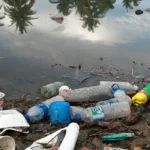 Fiocruz alerta para contaminação por plásticos na Amazônia