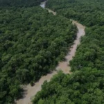 Dia da Amazônia mobiliza sociedade civil para a COP30 em Belém
