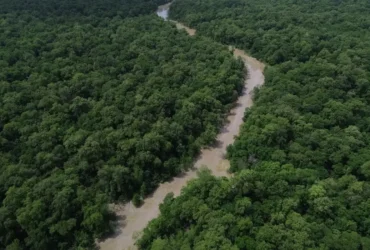 Dia da Amazônia mobiliza sociedade civil para a COP30 em Belém