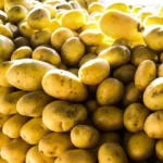 Batata, ovos e verduras aliviam inflação em São Paulo em agosto