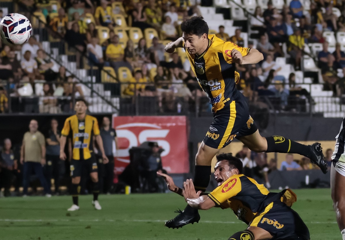 Paysandu x Novorizontino: Onde assistir ao vivo, escalações e tudo sobre o jogo da Série B. Imagem: @basso.photo Novorizontino
