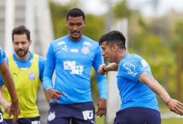 Bahia x Palmeiras: Onde assistir, escalações e tudo sobre o jogo do Brasileirão 2025. Imagem: @therafao