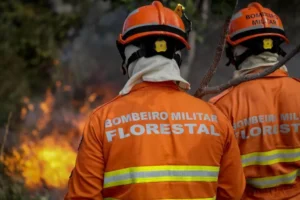 Incêndio em Barra do Garças: fogueira em acampamento provoca desastre ambiental