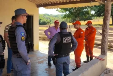 Queimada irregular em Mato Grosso resulta em prisão em flagrante