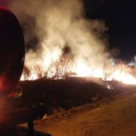 Bombeiros combatem incêndio em vegetação na BR-364 em Mato Grosso
