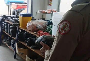 Bombeiros resgatam jabuti em loja de equipamentos agrícolas em Mato Grosso