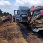 Acidente com caminhões em Primavera do Leste deixa motorista ferido