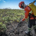 Corpo de Bombeiros de Mato Grosso enfrentou 15 incêndios florestais neste domingo