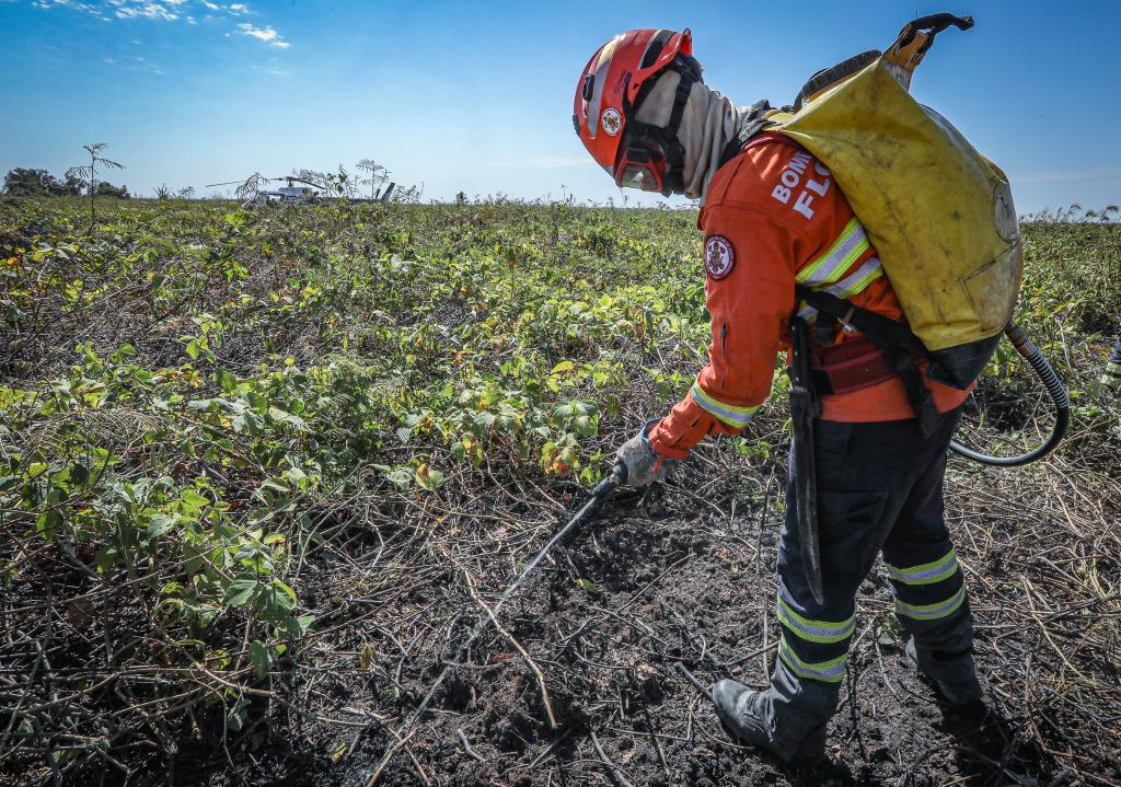 Corpo de Bombeiros de Mato Grosso enfrentou 15 incêndios florestais neste domingo