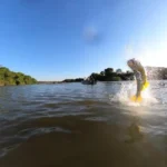 Mato Grosso se destaca como destino de pesca esportiva no Brasil