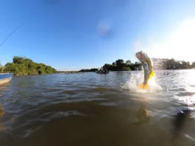 Comissão aprova projetos e debate futuro da pesca em Mato Grosso
