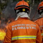 Incêndio avança sobre lavoura e área de reserva em Nova Ubiratã, Mato Grosso