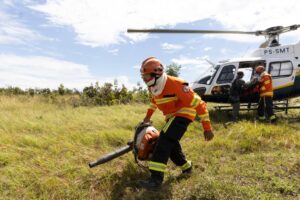Bombeiros utilizam 80 mil litros de água para controlar incêndio em madeireira em Mato Grosso