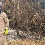 Corpo de Bombeiros de Mato Grosso controla incêndio causado por queima de lixo