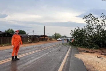 Primeiras chuvas aumentam riscos e exigem cuidados essenciais em Mato Grosso