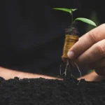 Crédito para produtores rurais: R$ 12 bilhões para dívidas afetadas por eventos climáticos