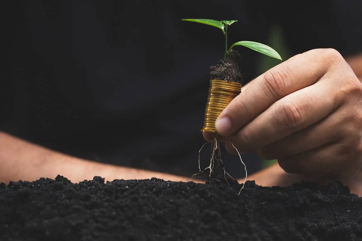 Crédito rural do BNDES prioriza agricultura familiar e médios produtores