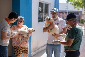 Dia D antirrábica em Rondonópolis imuniza quase 16 mil animais e supera expectativas