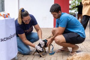 Dia D de Vacinação Antirrábica acontece neste sábado (27) em Rondonópolis