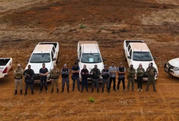 Operação Abafa Amazônia 2025 aplica R$ 78 milhões em multas por crimes ambientais no Norte de MT