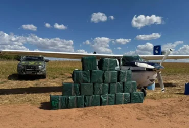 Tráfico sofre prejuízo de R$ 70 milhões após apreensão de drogas em Mato Grosso