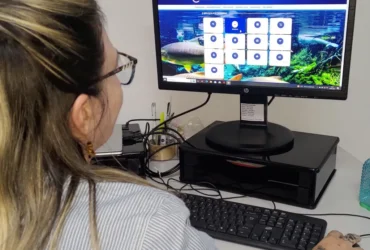 Transparência em Mato Grosso registra avanços significativos em 2025