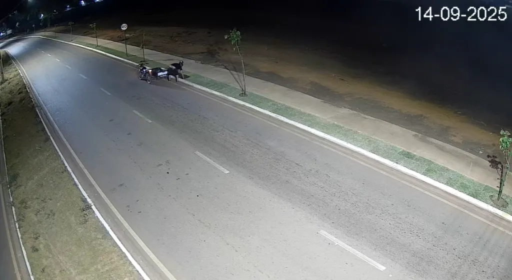 Homem é preso por furto de grama monitorado pelo Vigia em Rondonópolis