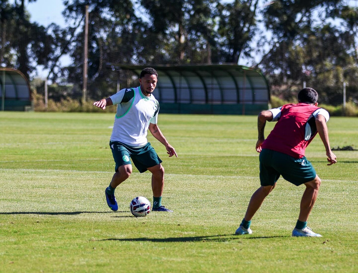 Amazonas x Chapecoense: onde assistir, prováveis escalações e tudo sobre o jogo da Série B. Imagem: Luiz Ferrazzo ACF Amazonas x Chapecoense: onde assistir, prováveis escalações e tudo sobre o jogo da Série B. Imagem: Luiz Ferrazzo ACF