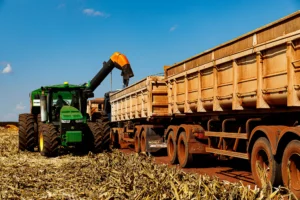 Milho impulsiona recorde de produção em Mato Grosso na 2ª safra