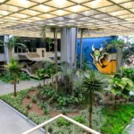 Mato Grosso avança nove posições no ranking de contabilidade pública