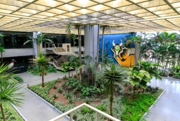 Mato Grosso avança nove posições no ranking de contabilidade pública