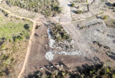 Queimada ilegal no Pantanal resulta em multa de R$ 20 mil durante operação integrada