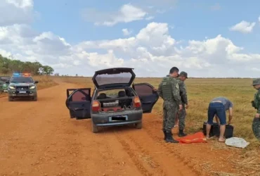 Pescado apreendido em Itiquira soma 22 quilos durante operação conjunta