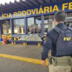 PRF apreende 47 kg de skunk e cumpre mandado na BR-364 em Rondonópolis (MT)