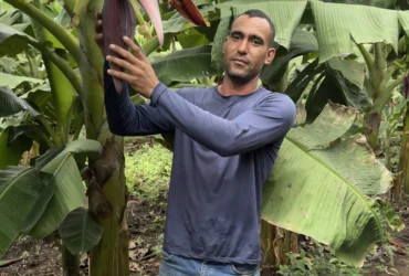 Agricultores recebem incentivo financeiro para preservar Amazônia