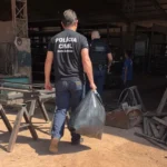 Polícia civil incinera drogas em Araputanga reforçando segurança