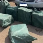 Polícia Militar e Gefron apreendem 247 tabletes de cocaína em Pontes e Lacerda