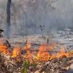 Polícia Militar prende homem por incêndio em área de vegetação urbana em Barra do Garças