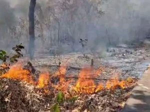 Polícia Militar prende homem por incêndio em área de vegetação urbana em Barra do Garças