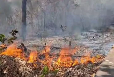 Polícia Militar prende homem por incêndio em área de vegetação urbana em Barra do Garças