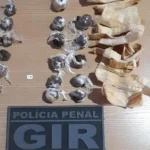 Policiais realizam nova apreensão de drogas em penitenciária de Mato Grosso