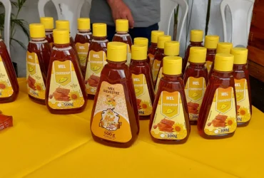 Sinop lidera ranking de produtores orgânicos em Mato Grosso graças a projeto da Empaer