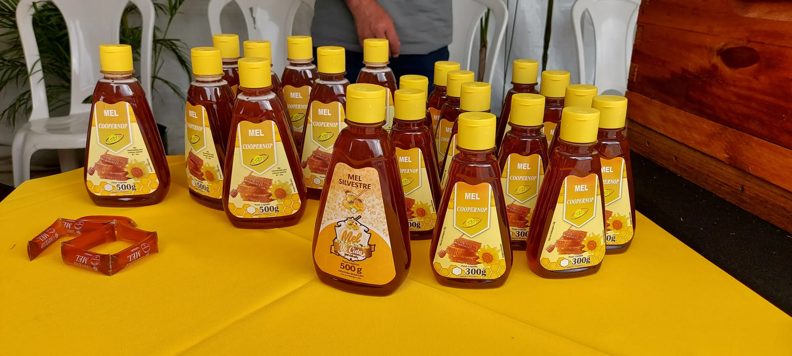 Sinop lidera ranking de produtores orgânicos em Mato Grosso graças a projeto da Empaer