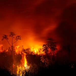 Saiba como denunciar queimadas e mato alto em Barra do Garças