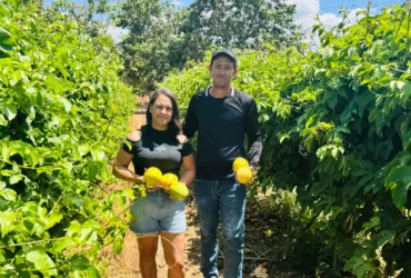 Maracujá ganha destaque na agricultura familiar durante GreenFarm Show 2025 em Mato Grosso