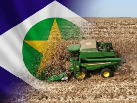 Soja em Mato Grosso - CenárioMT