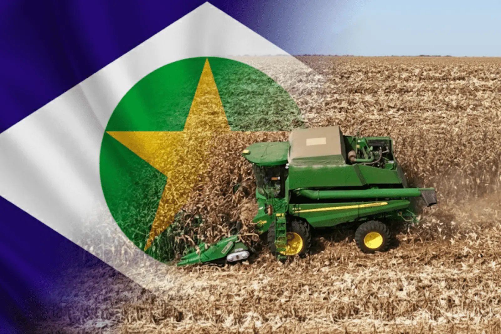 Soja em Mato Grosso - CenárioMT