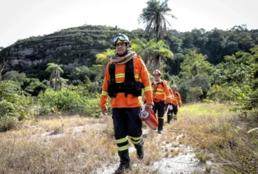 Corpo de bombeiros de Mato Grosso combate mais de 40 Incêndios florestais no estado